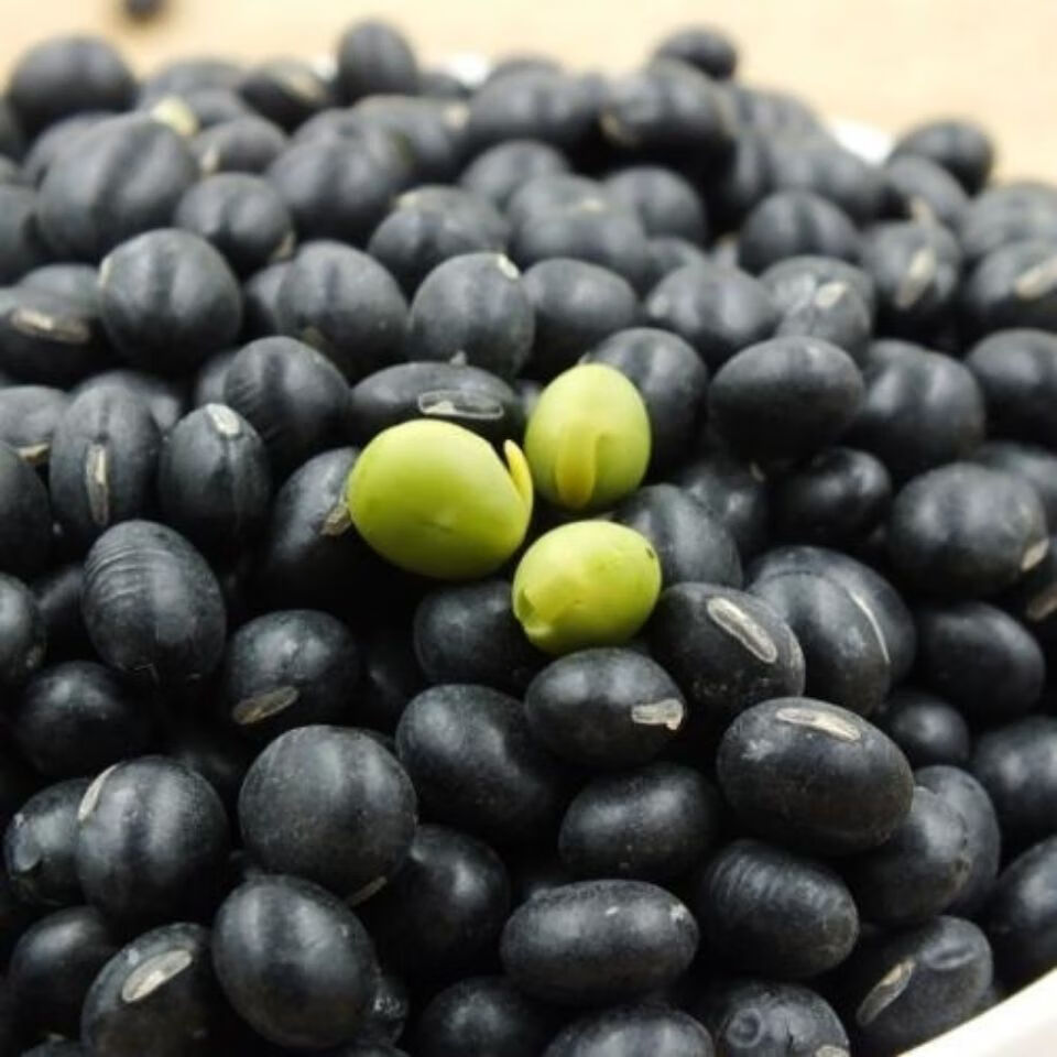 新货东北绿芯黑豆5斤绿心农家芯黑豆豆浆发芽批发五谷杂粮粗粮1斤精选