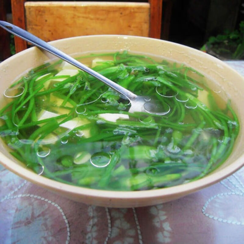 水性杨花云南野菜大理特产洱海海菜花海白菜特色蔬菜1斤装