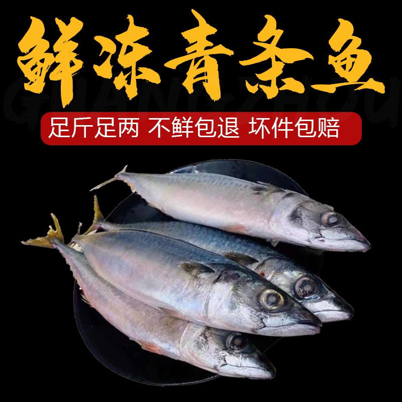 新鲜鲐鲅鱼批发青占鱼批发青条鱼10斤20斤一斤2到3
