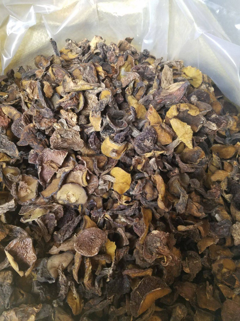 野生松蘑粘团子粘窝子粘蛾子松树蘑松蛾子承德东北松蘑干货250g