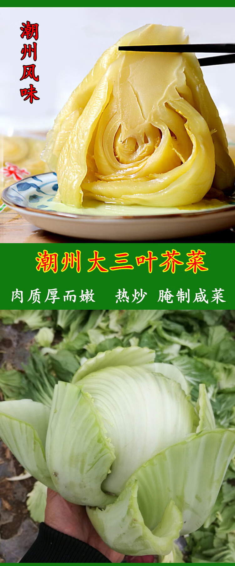 潮州大三叶芥菜种籽广东大肉包心芥种子腌制咸菜秋季大田蔬菜种孑潮州