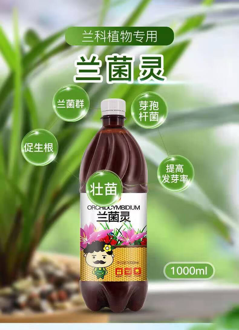 兰灵王兰花专用营养液肥兰菌灵肥料生根催芽蝴蝶兰君子兰肥料肥 兰菌