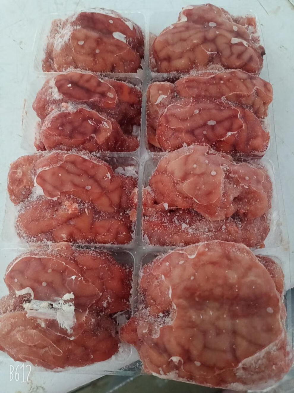 羊脑新鲜羊对脑羊脑髓羊脑花羊头山批发羊脑2斤