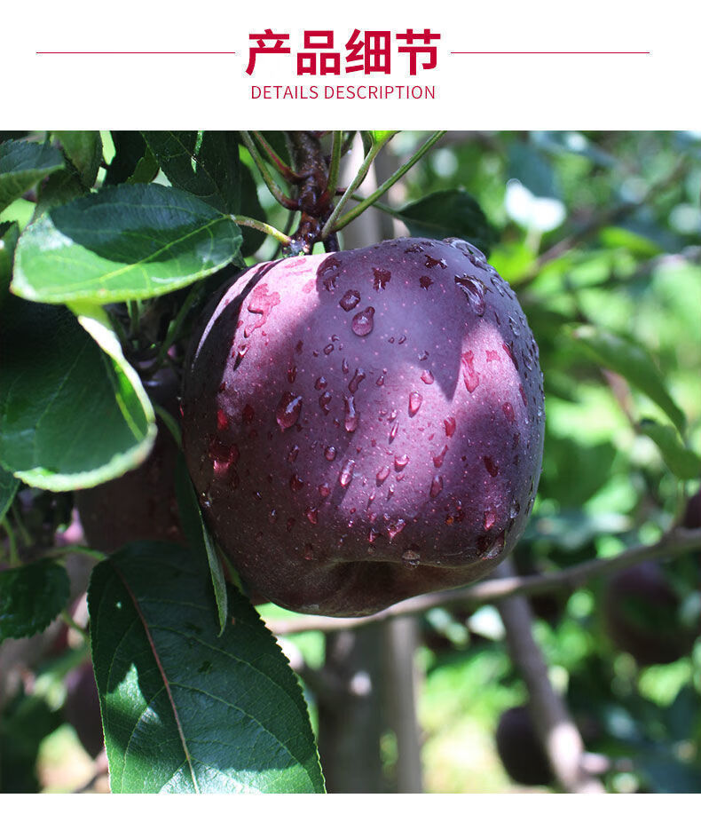 棠鲜生稀有特级黑苹果罕见水果黑钻苹果黑卡平果高品质黑苹果带箱10斤