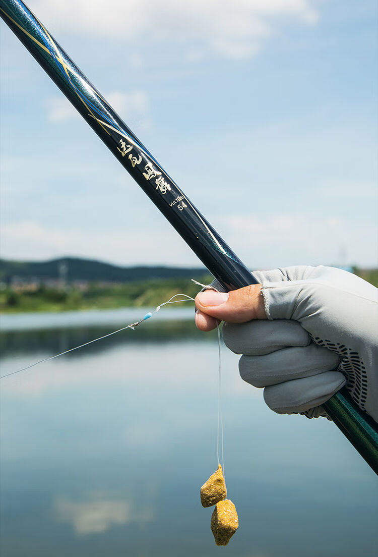 正品凤舞鱼竿碳素轻硬钓鱼竿28调19调台钓竿手竿渔具套装硬19调48米