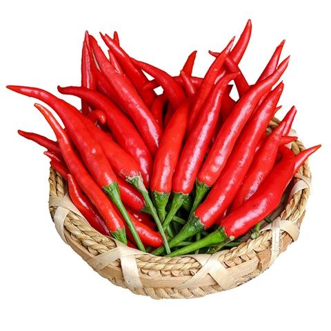 现摘小米椒批发朝天椒现货红米椒指天椒特辣椒蔬菜可剁椒泡椒华海春