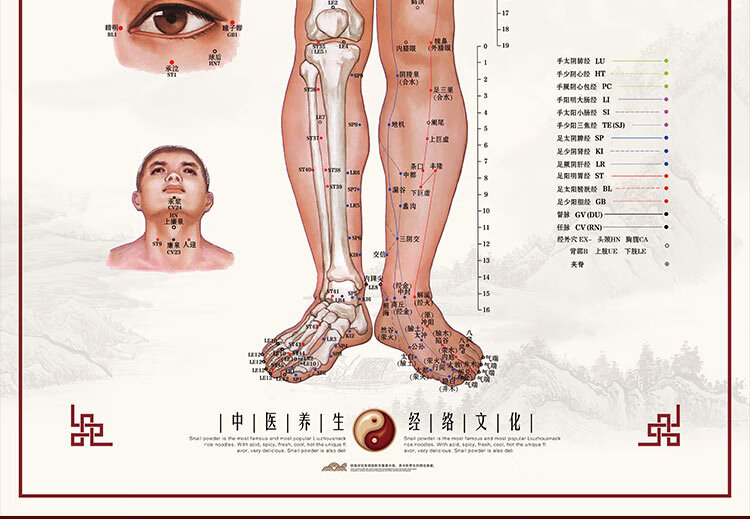 中医图解背部人体经络穴位图大挂图养生馆宣传画针灸推拿海报全身