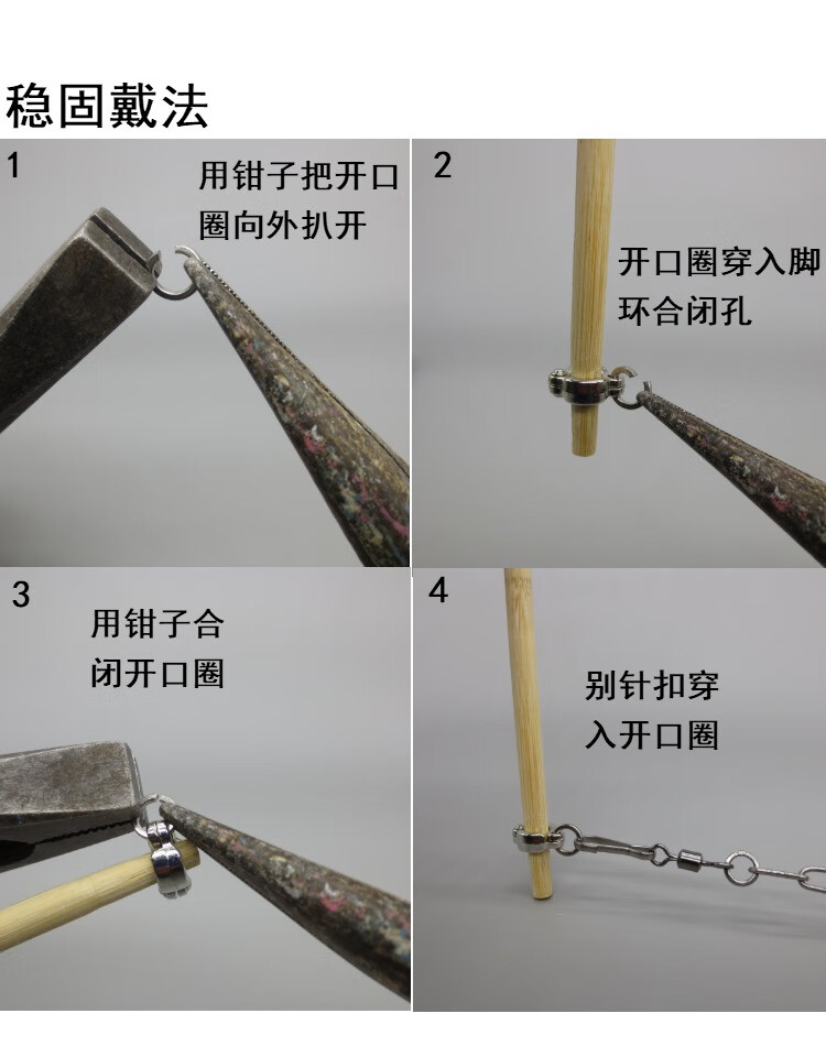 鹦鹉脚环脚链不锈钢鸟链子虎皮伯劳八哥牡丹玄凤幼鸟活动扣遛鸟绳单独