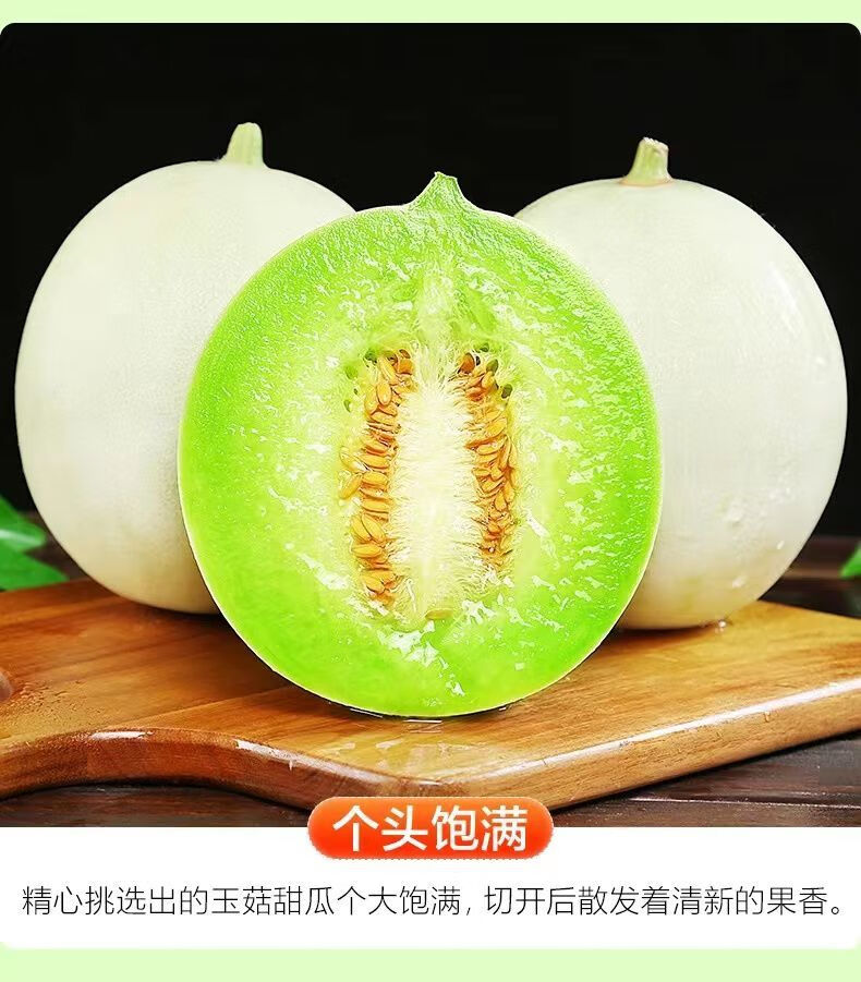 山东玉菇甜瓜新鲜水果应季头茬现摘冰淇淋奶香蜜瓜甜香瓜比哈密瓜更甜