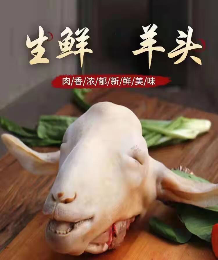 羊头肉冰鲜羊脸羊脑羊带舌头耳朵整个清真食材羊头35斤新鲜羊头加卤料