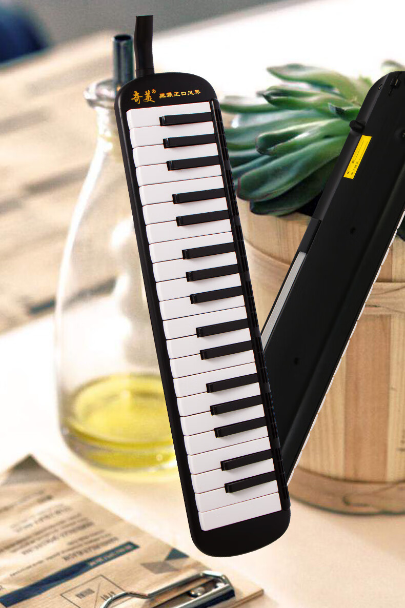 奇美黑霸王口风琴37键32键学生用教学儿童初学者演奏级口风琴 黑霸王3
