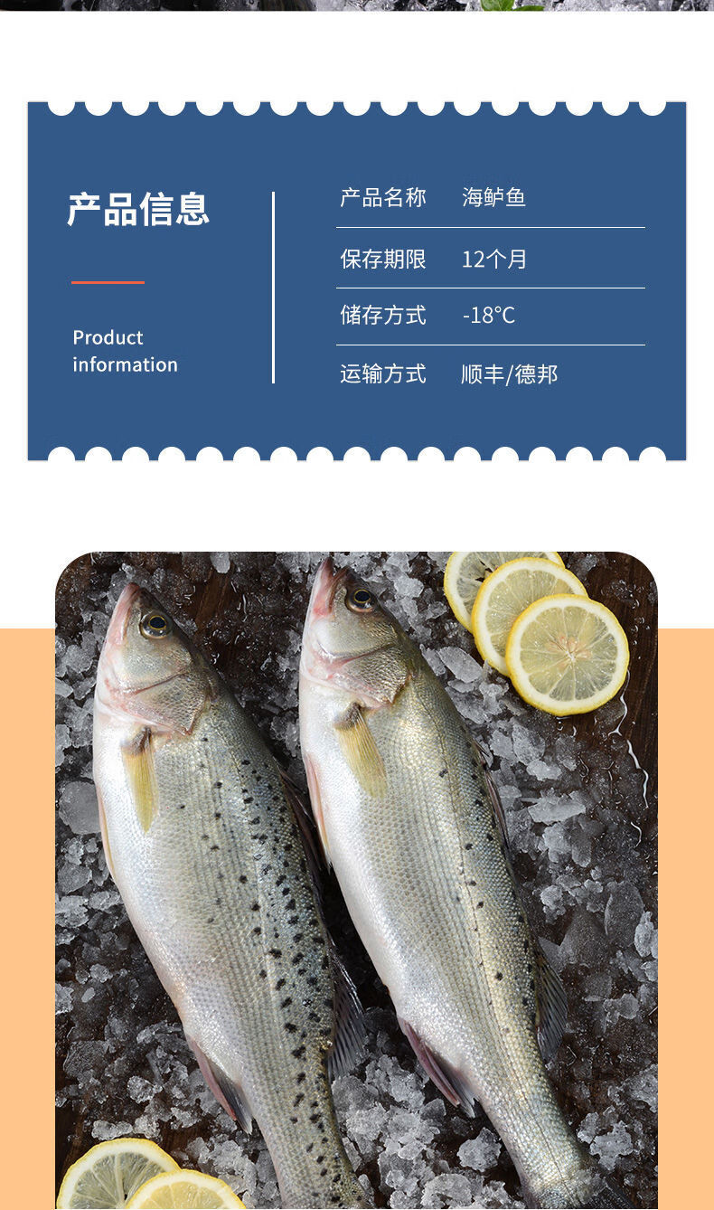 特大号海鲈鱼新鲜鲜活寨花鱼鲈板鱼花鲈鱼海鲜水产批发渔船直发3条08