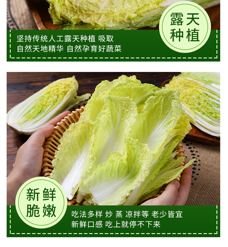 娃娃菜新鲜农家自种小娃娃菜黄牙白娃娃菜囤货黄心大娃娃菜2500g