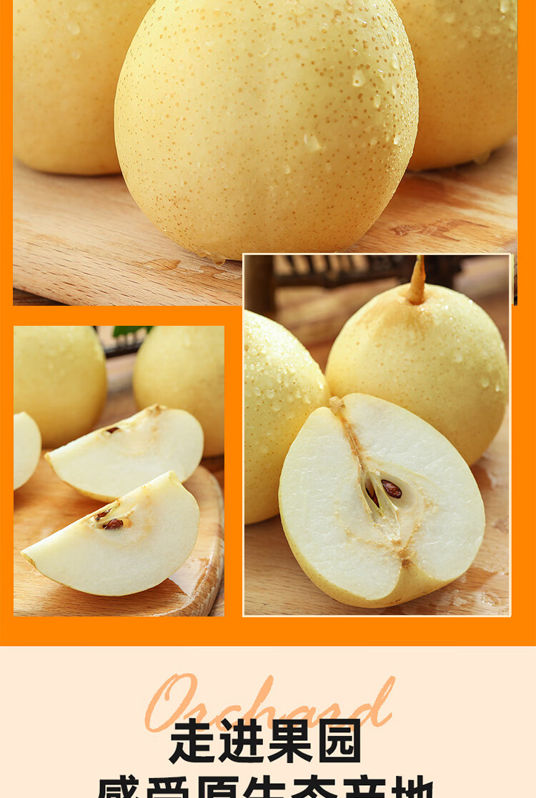 正宗河北魏县鸭梨大果新鲜10斤水晶梨子水果当季整箱5斤现摘9斤精品装