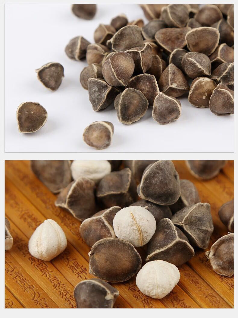 辣木籽正宗印度功效辣木子滋补原料特大果100克