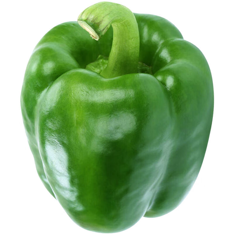 农家自种圆椒新鲜蔬菜圆辣椒灯笼椒不辣2斤装