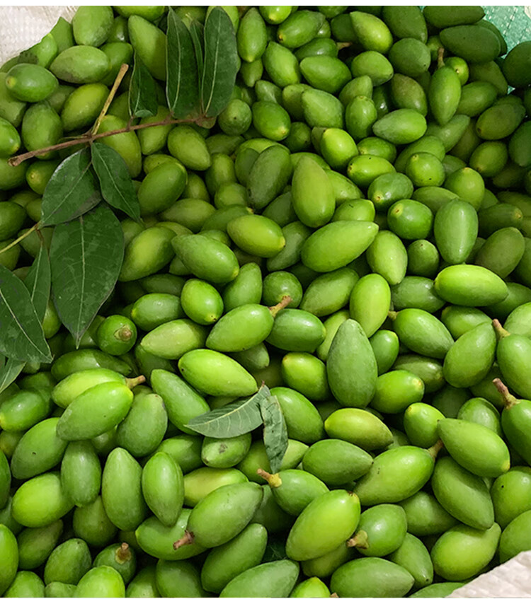 仓梵正宗潮汕檀香二号甜橄榄生吃酥脆甜种青橄榄孕妇新鲜水果一斤