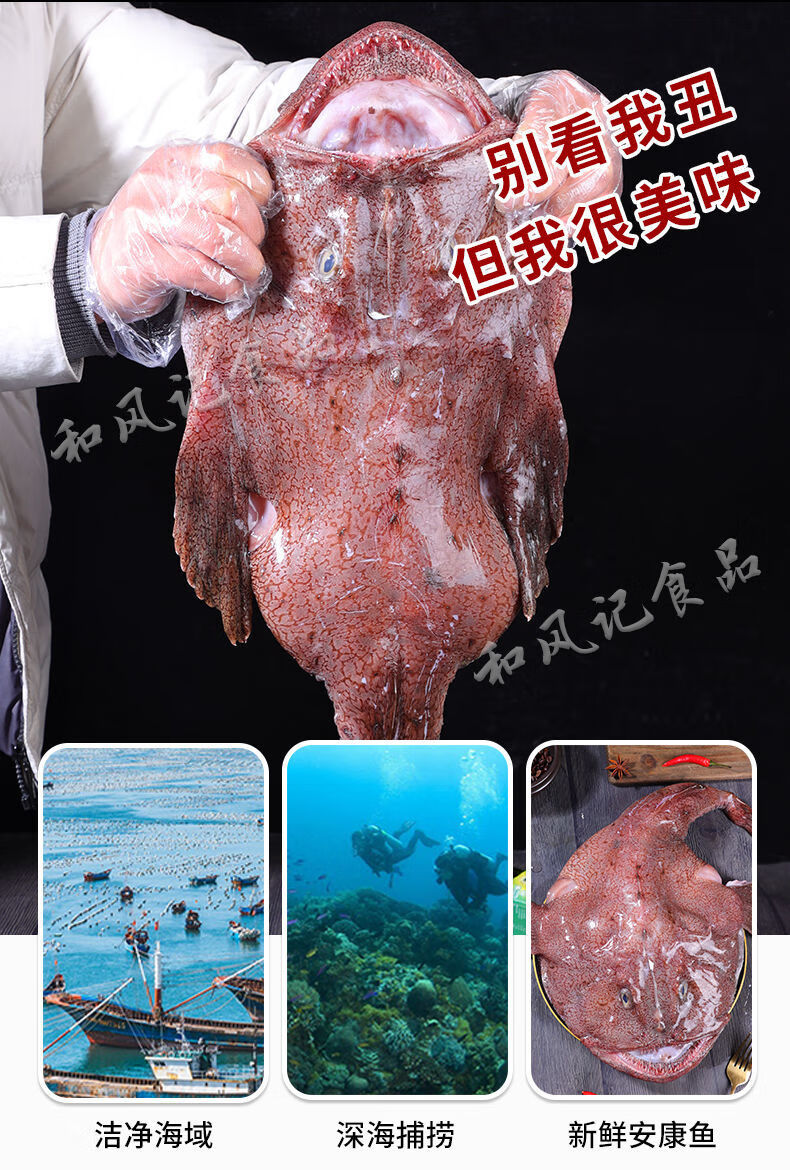 新鲜安康鱼超大蛤蟆鱼鮟鱇灯笼鱼海捕速海鱼冻杀好去内脏保留肝肚速冻