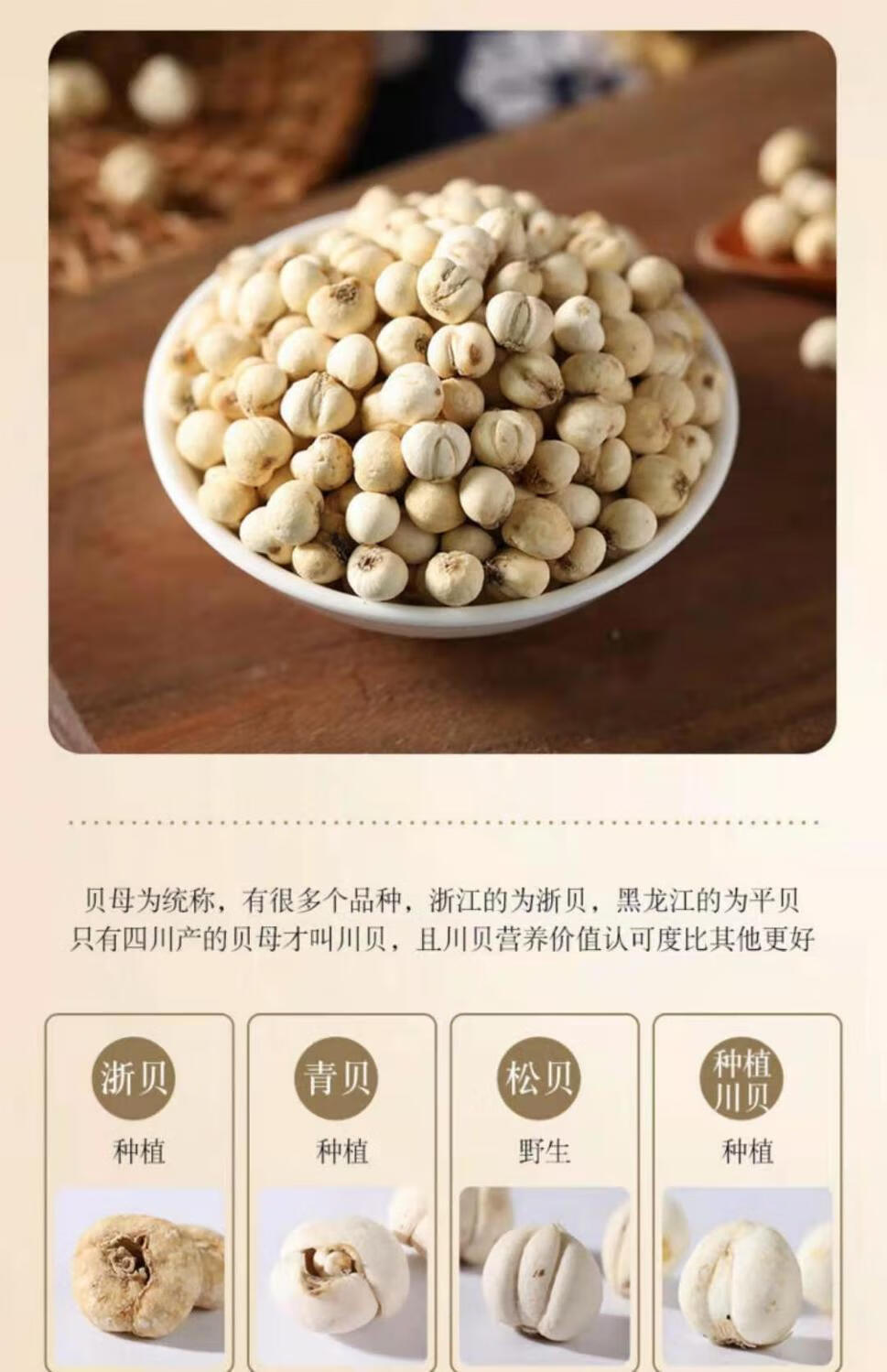 川贝正宗四川无硫新货川贝母特级仿野生环境生长松贝青贝珍珠贝天然小