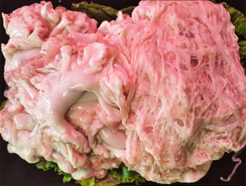 东北鸡冠油新鲜花脂渣油梭子猪水油围心肉食用4斤无淋巴