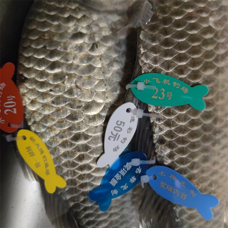 标鱼牌标鱼标牌圆形鲫鱼标鱼黑坑钓鱼场专用标鱼牌钓场定制鱼标签圆形