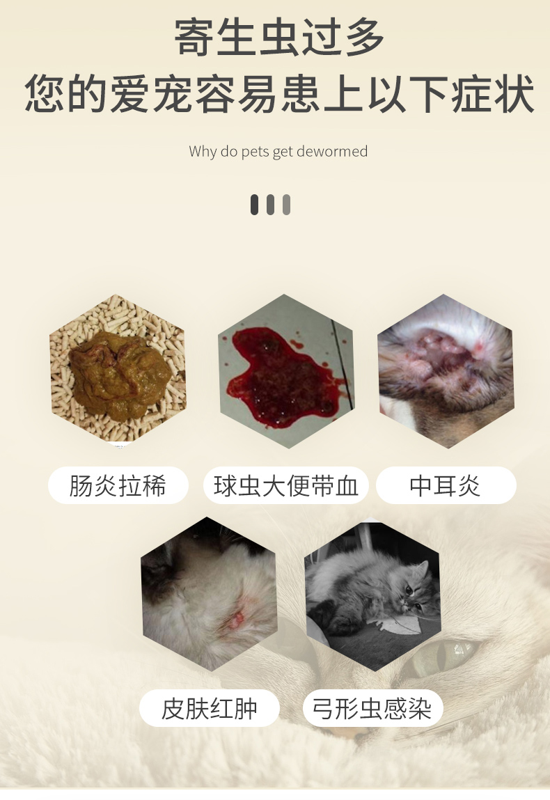 芊守球虫药猫弓形虫驱虫药拉稀便血狗非d800百球快乐清红糖炎迪净