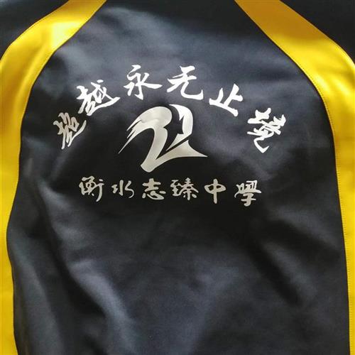 衡水二中校服志臻中学清河滨湖安平高中男女生春秋上衣裤套装同款志臻