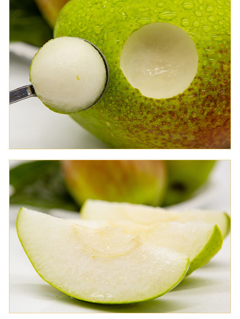 正宗阳信7号媚梨富硒梨新梨香梨新鲜现摘孕妇水果35斤5斤中果