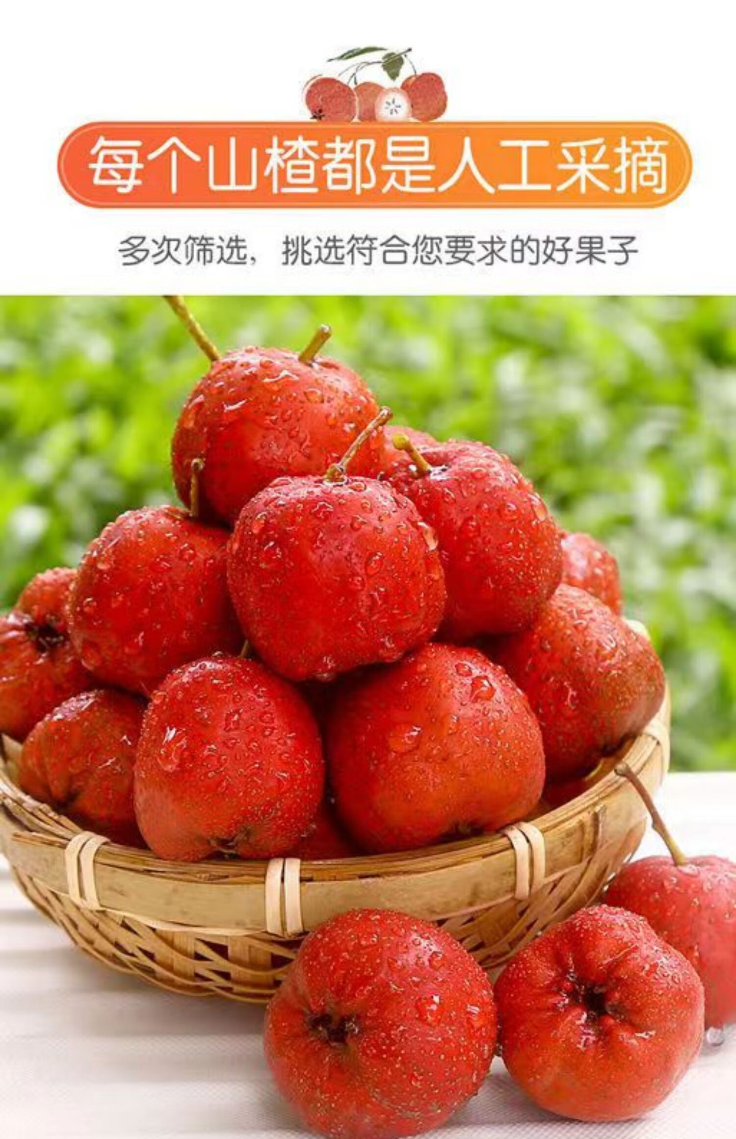 新鲜山楂鲜果鲜山楂甜红子大金星山楂果 7斤精选山楂 大果【图片 价格