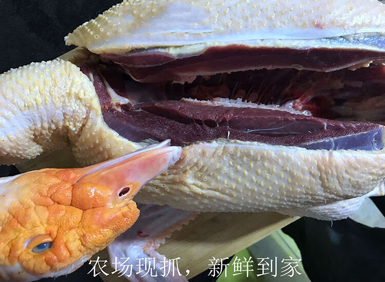现杀三年老鸭农家三年老番鸭红脸鸭鸳鸯鸭藤鸭三年老鸭杀好净重六斤多