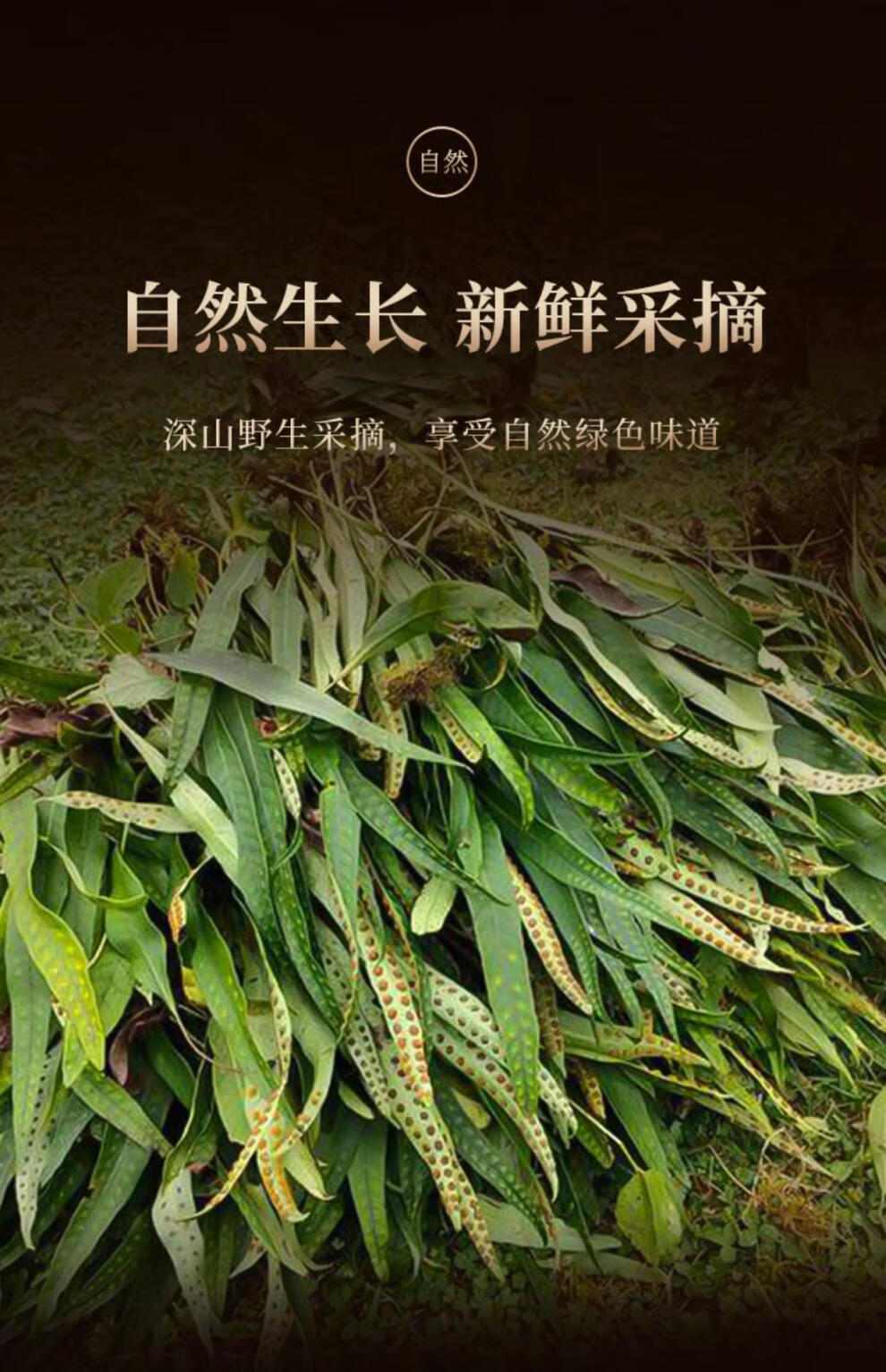 肾精茶长白山肾精草野生草 石苇茶 东北石韦草男性50g特产 50克*2罐