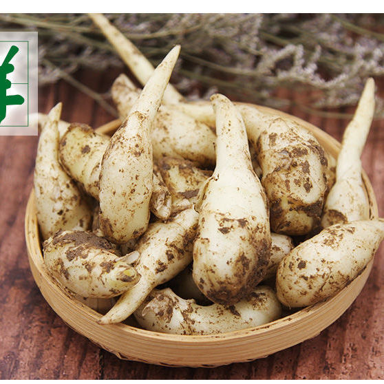 事思嫩姜芽新鲜姜牙现挖腌制泡菜现掰新鲜姜牙子姜糖醋泡生姜仔姜嫩姜