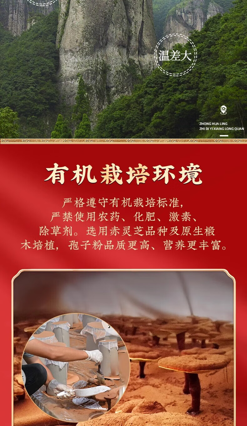 4b990e9437b1a445.jpg