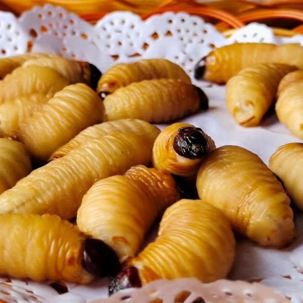 竹虫新鲜 速冻大竹虫竹笋虫竹蛹干冻无冰大竹蛆笋蛆笋子虫生鲜全国