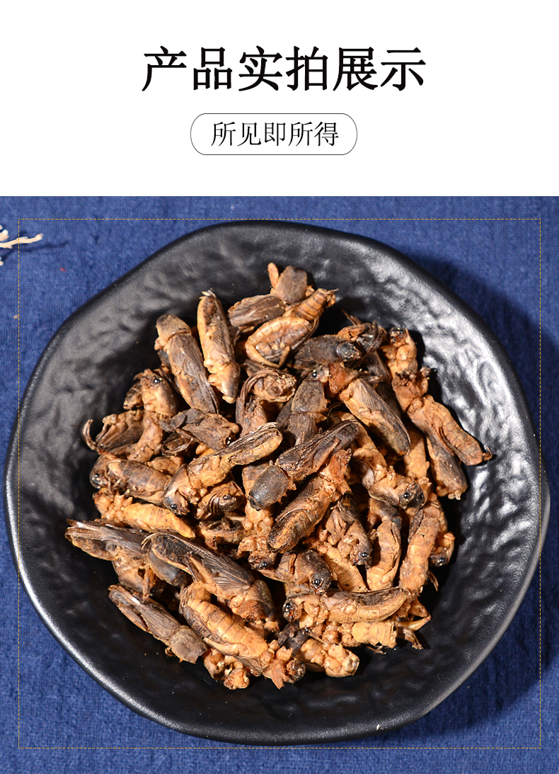 同仁堂同仁堂中药材蝼蛄蝼蛄干土狗散装500g无杂质可磨粉蝗虫干蛐蛐