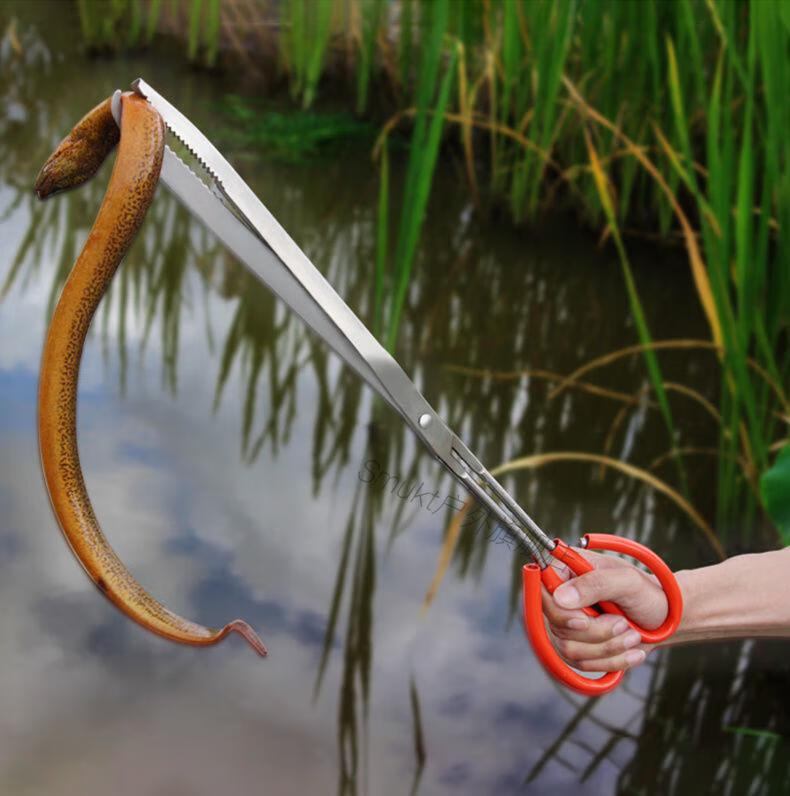 不锈钢黄鳝夹子鳝鱼夹泥鳅钳子防滑防脱抓捉专用工具赶海神器 夹泥鳅