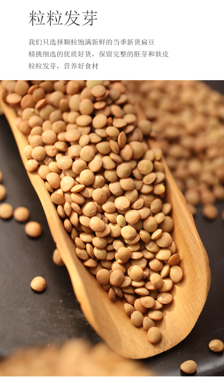 小扁豆甘肃特产绿扁豆子农家自产1000g