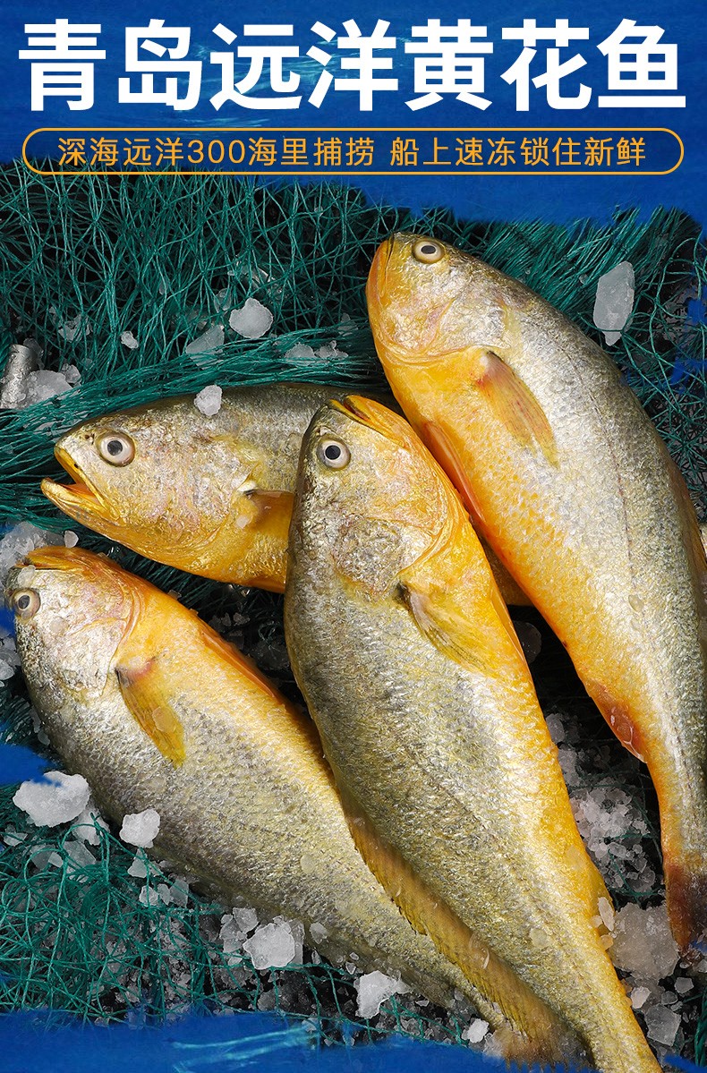 姬幻黄花鱼大黄鱼海鲜水产海鲜鱼类生鲜5斤46条家庭装