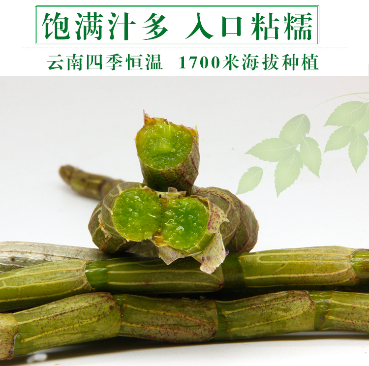 10045990446614商品名称:康中尊 铁皮石斛鲜条云南中药原材新鲜石斛粉