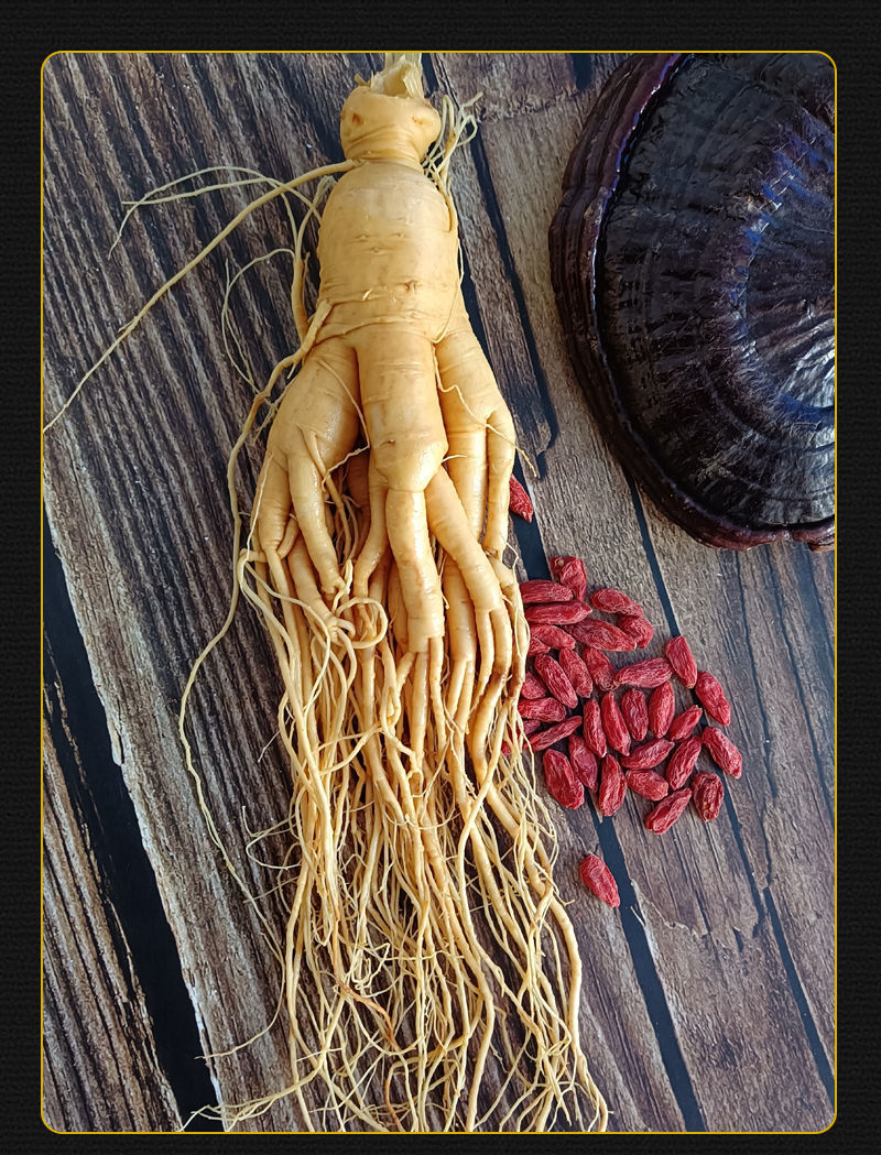 参龄18年长白山特大人参王东北特产枸杞泡酒煲汤新鲜15年大参王重160