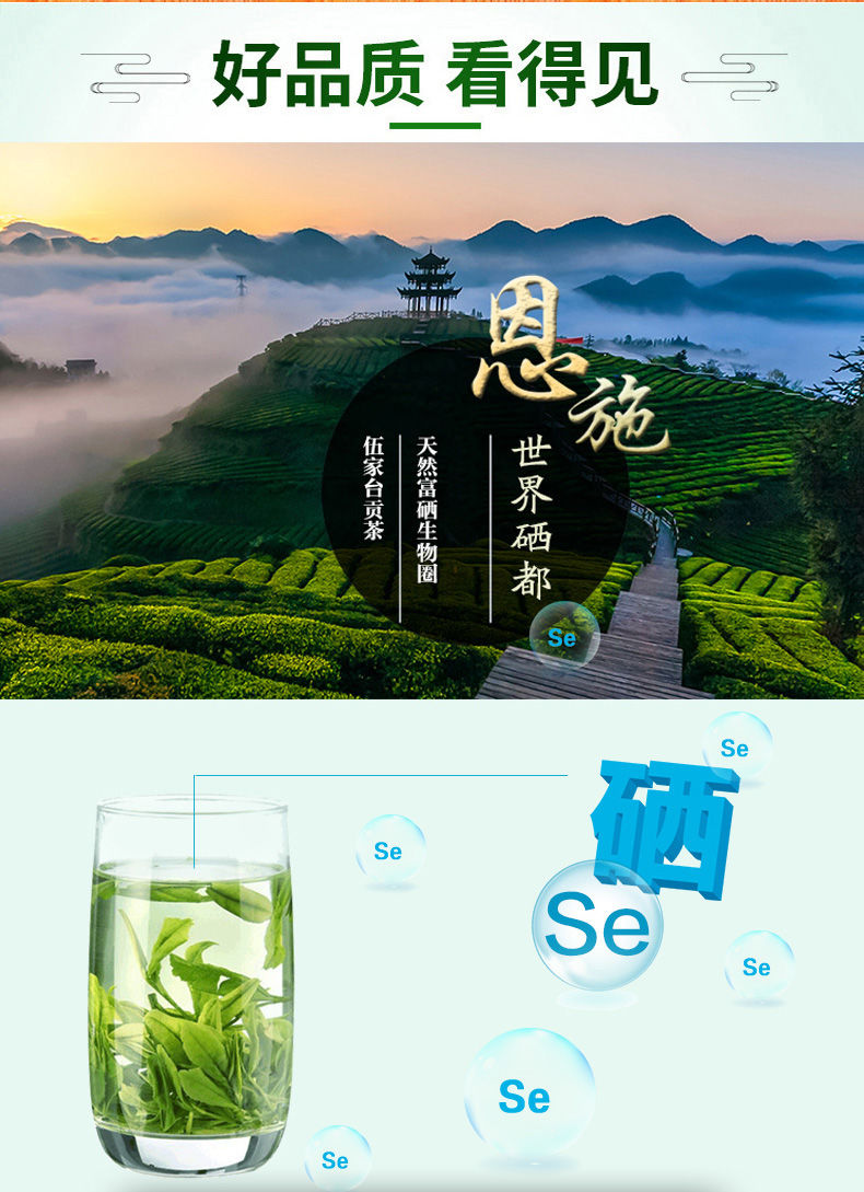 伍家台贡茶恩施硒茶绿茶2021年新茶昌臣炒青3号口粮茶袋装炒青特级250