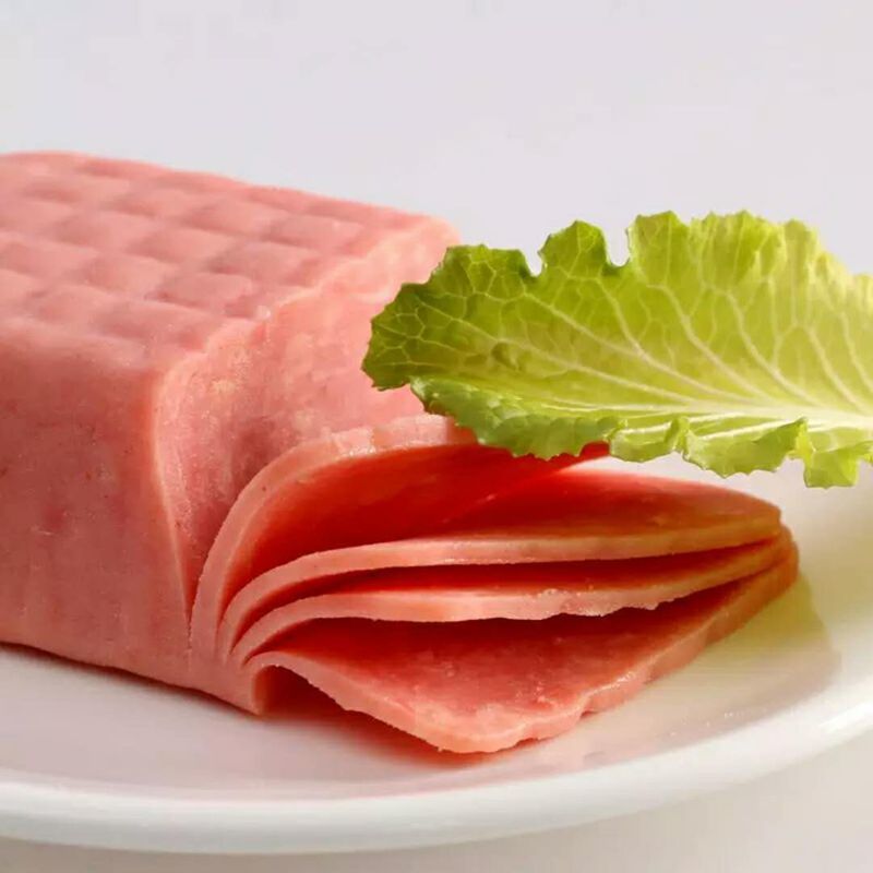 天津强源飘香火腿肠方肠火锅米线即食速食下酒菜一根 485克*5根(原味)