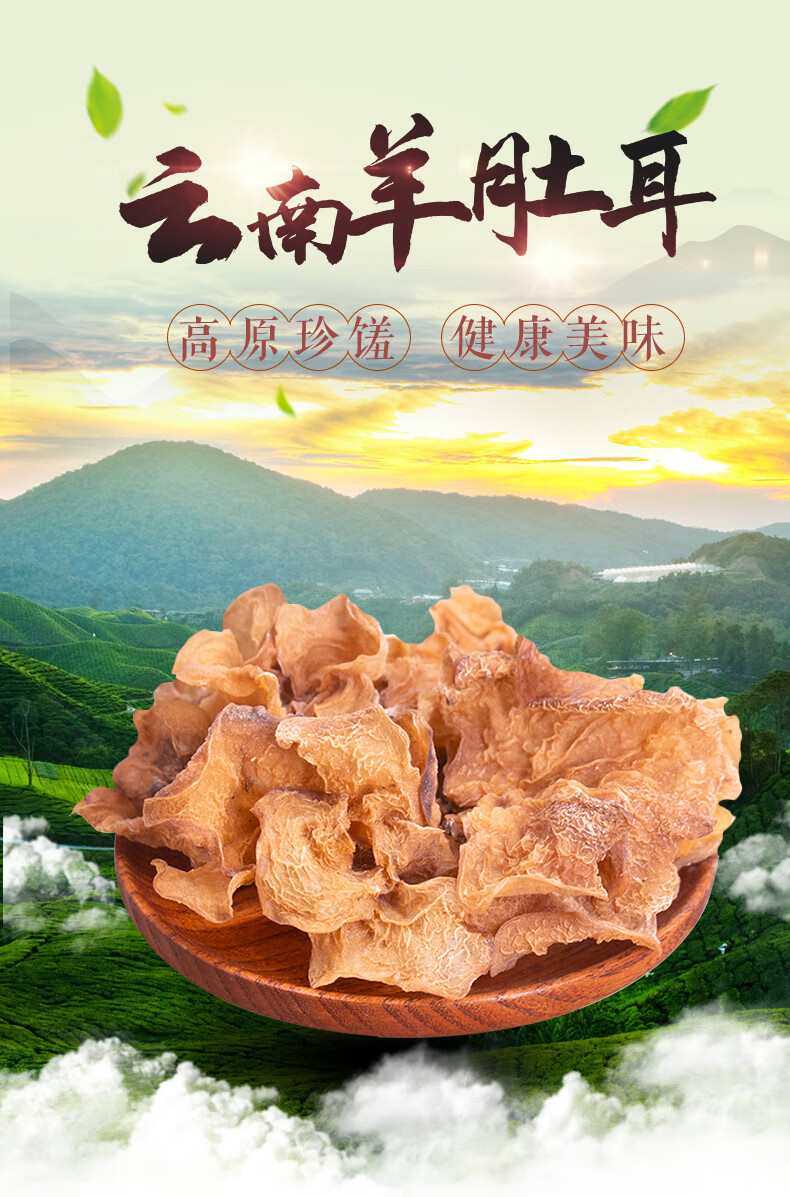 羊肚耳干货云南特产羊肚菇蘑菇羊肚菌榆耳菌沙耳菌菌类煲汤料 500g