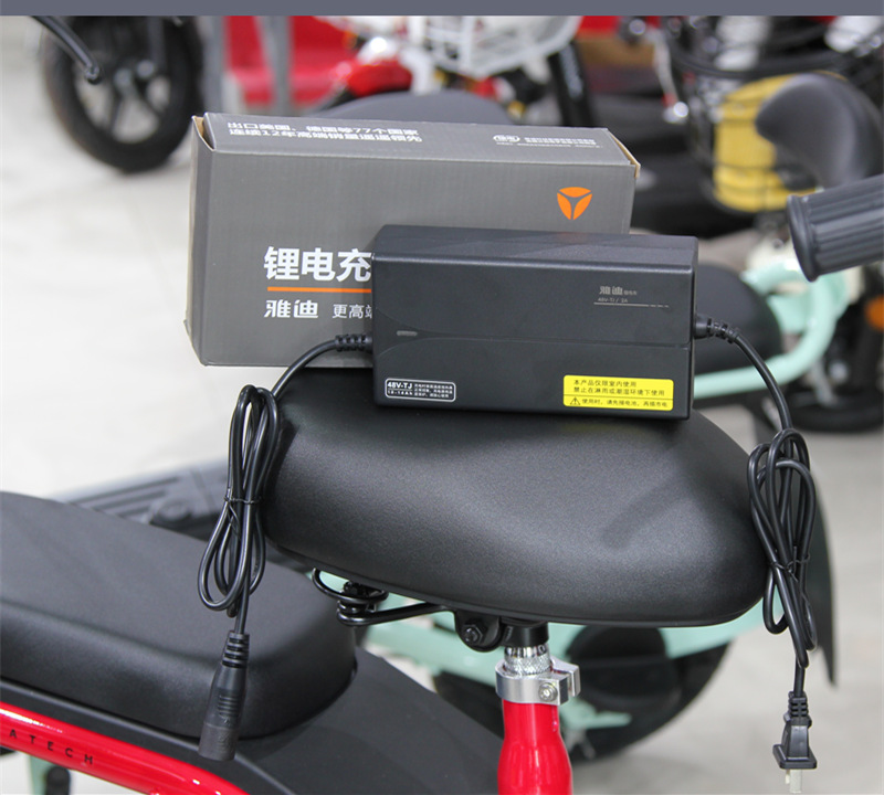 逸航雅迪充电器原装雅迪锂电池电动车充电器48v12ah专用原装麦克风