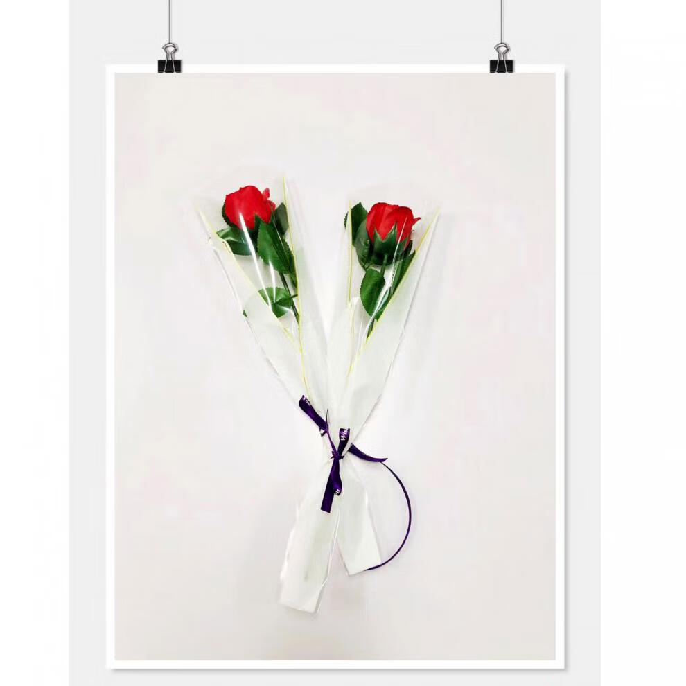 索拉图单只鲜花袋康乃馨单支玫瑰花包装袋一朵花单枝花束袋鲜花袋透明