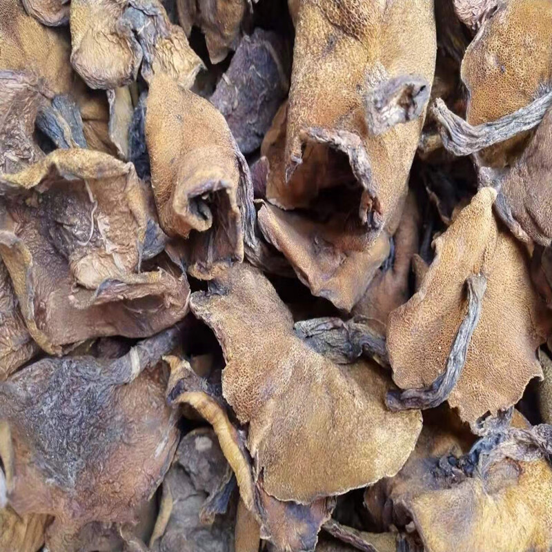 5折山东特产泰山野生新鲜松蘑蘑菇小香菇干货松菇莪子松莪子剪根500g