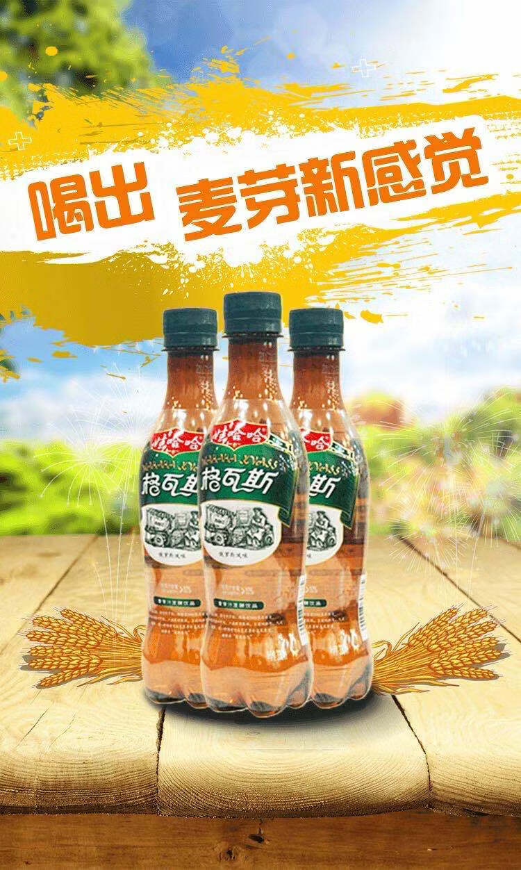 娃哈哈 格瓦斯 碳酸饮料 330ml 600ml瓶 整箱 麦芽汁 俄罗斯风味