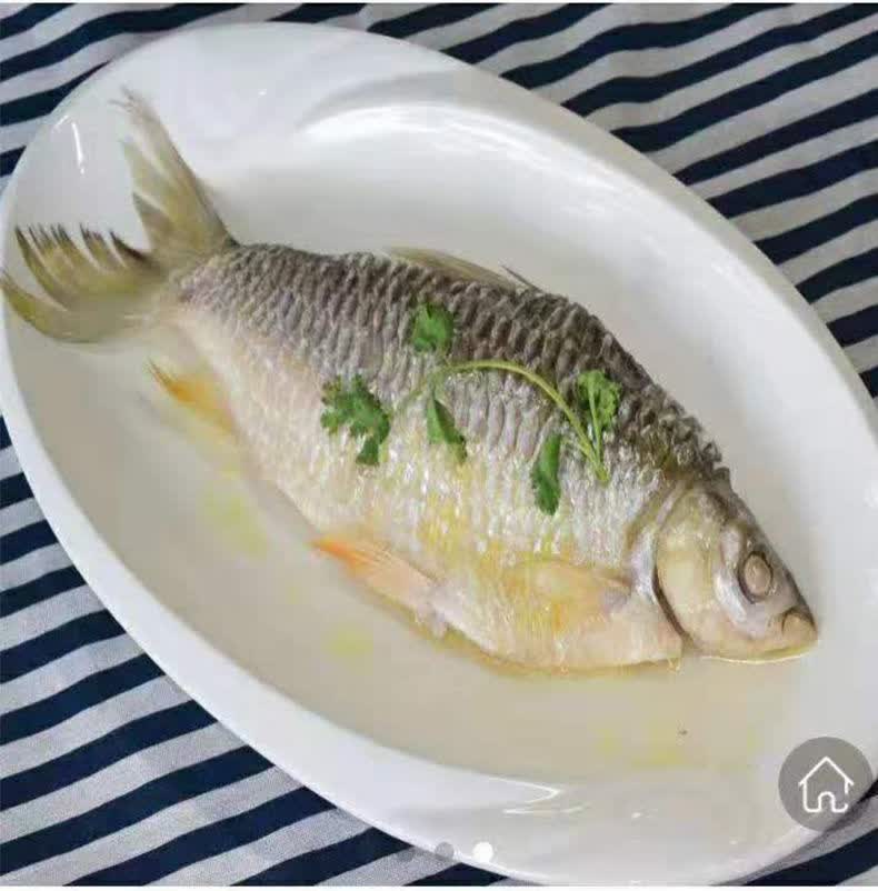 晨臻 忘不了鱼 盐鲜苏丹鱼皇帝鱼(忘不了)可煎蒸煮咸淡水鱼真空包装包