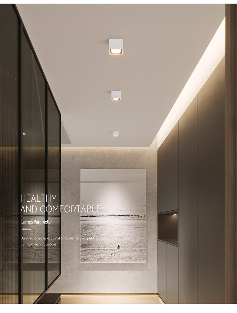 明装筒灯客厅无主灯照明盒子灯双头斗胆灯格栅灯过道玄关吸顶射灯