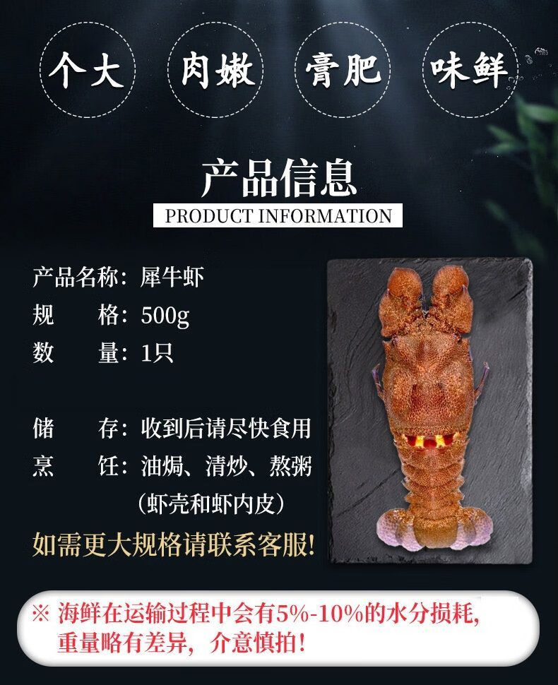 棠鲜生 犀牛虾新鲜海捕大虾 海鲜水产大龙虾 犀牛虾 400-500g/只